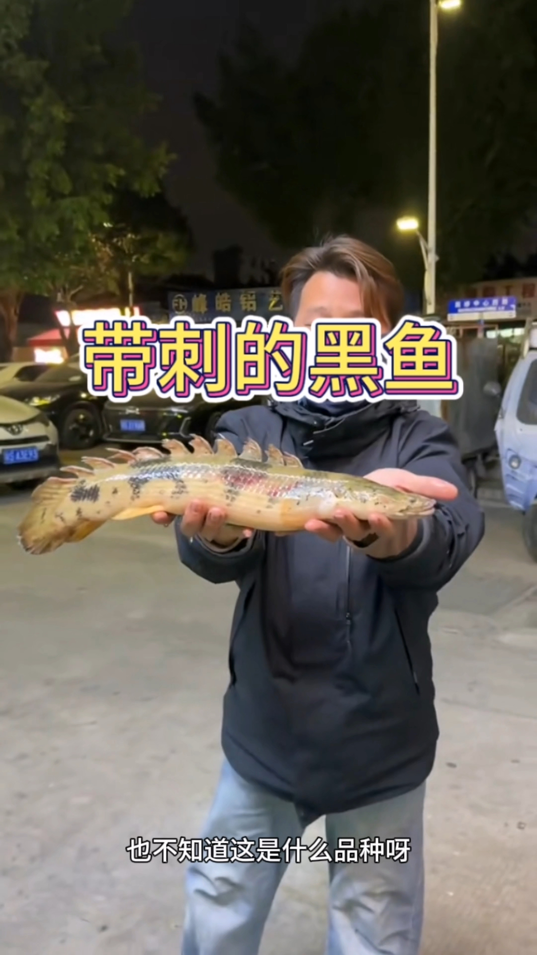 这是什么品种的鱼儿啊