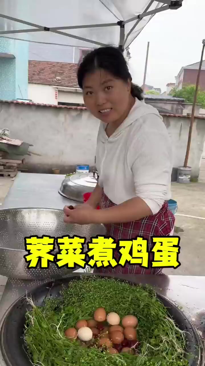 你们今天吃荠菜煮鸡蛋了吗?!