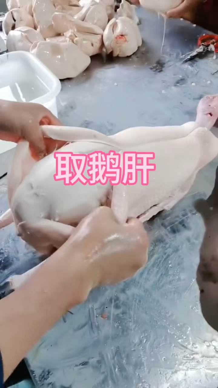 你见过这么大的鹅肝吗