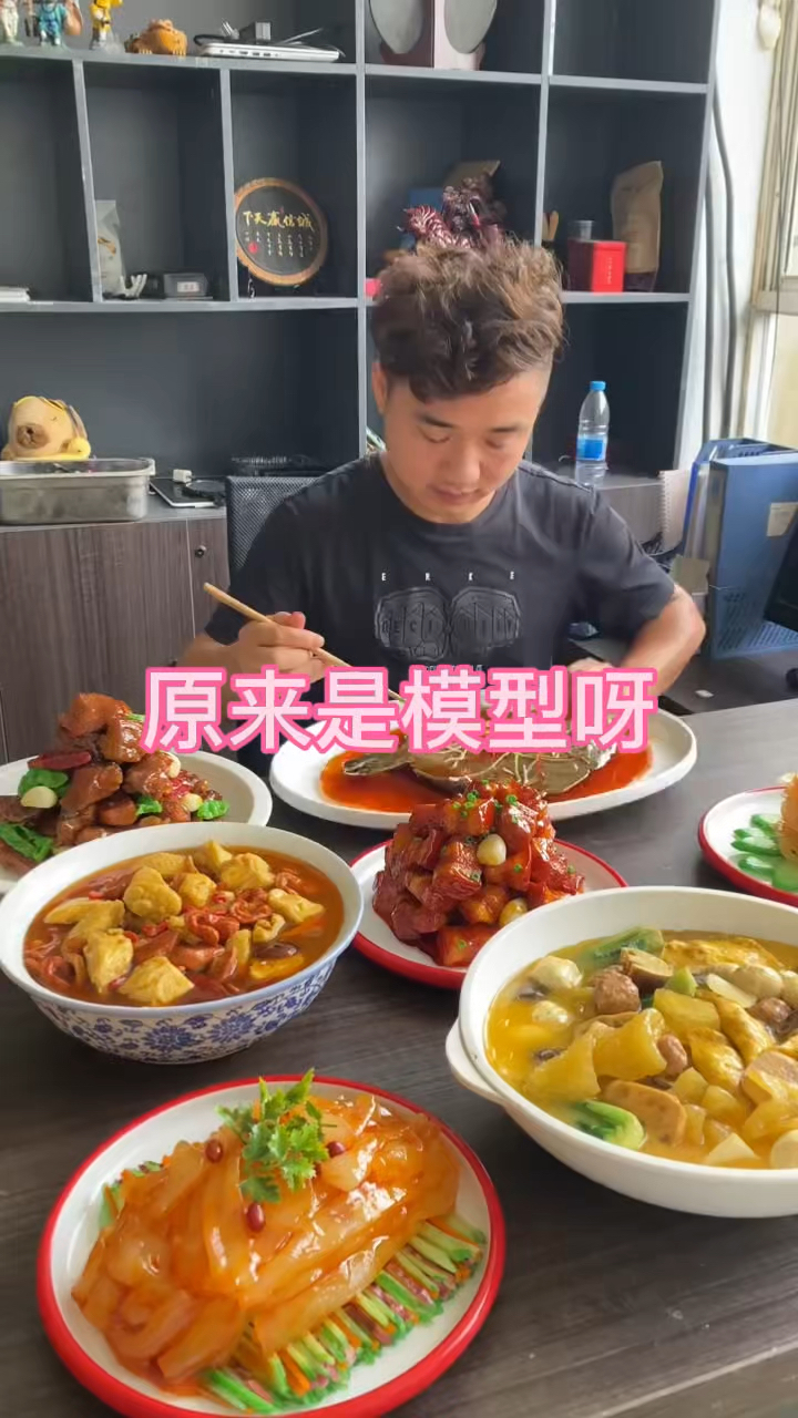 原来是模型饭菜呀