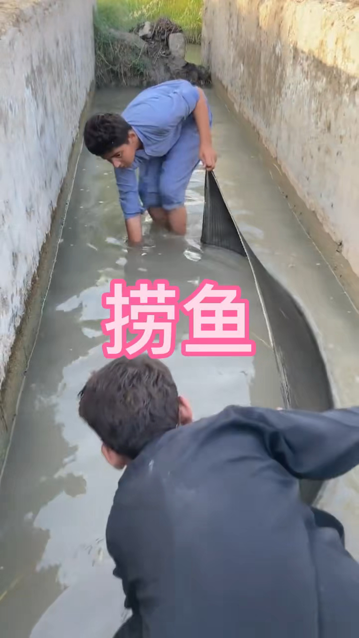 这样捞鱼你见过吗