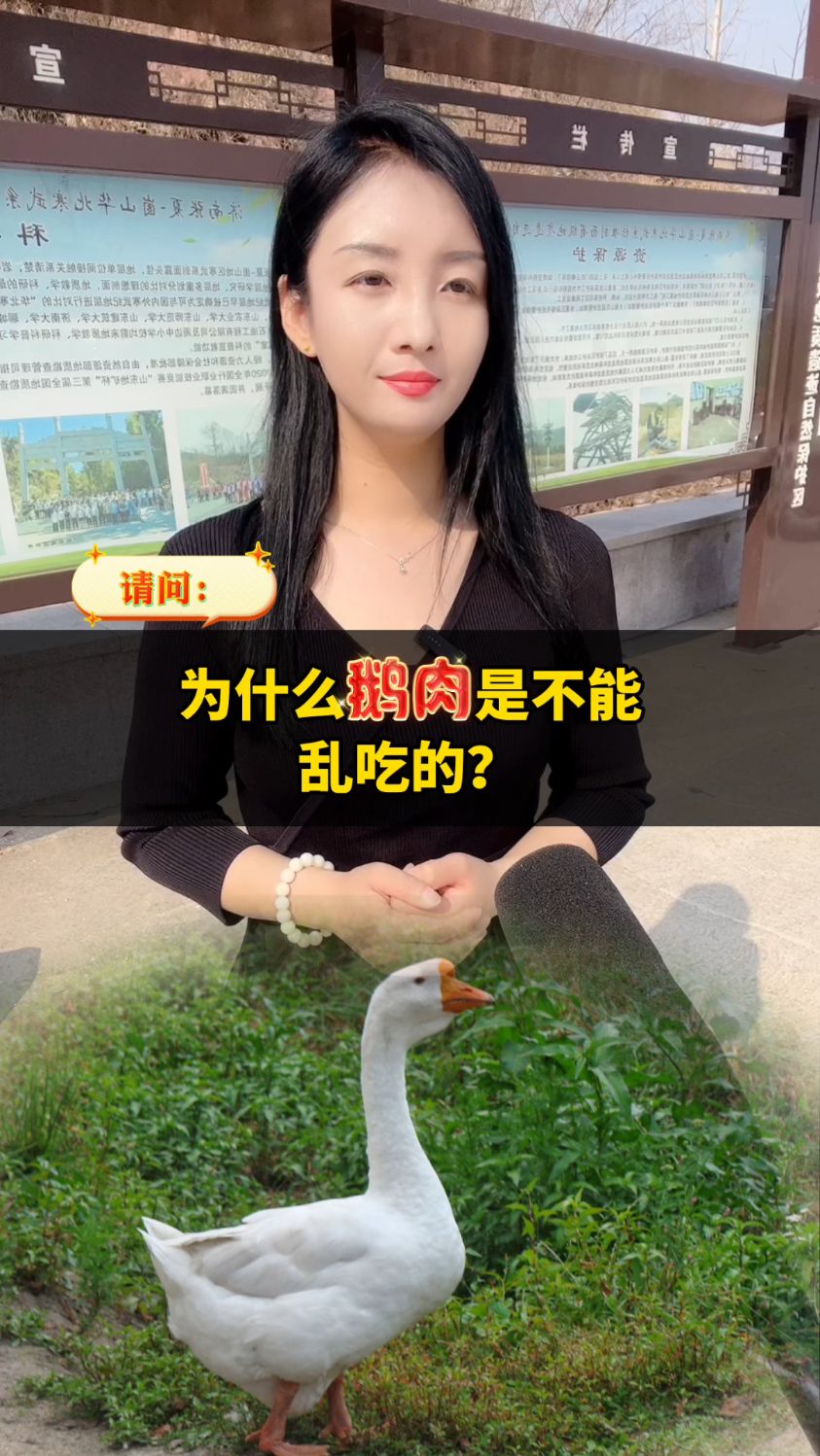 为什么鹅肉是不能乱吃的?