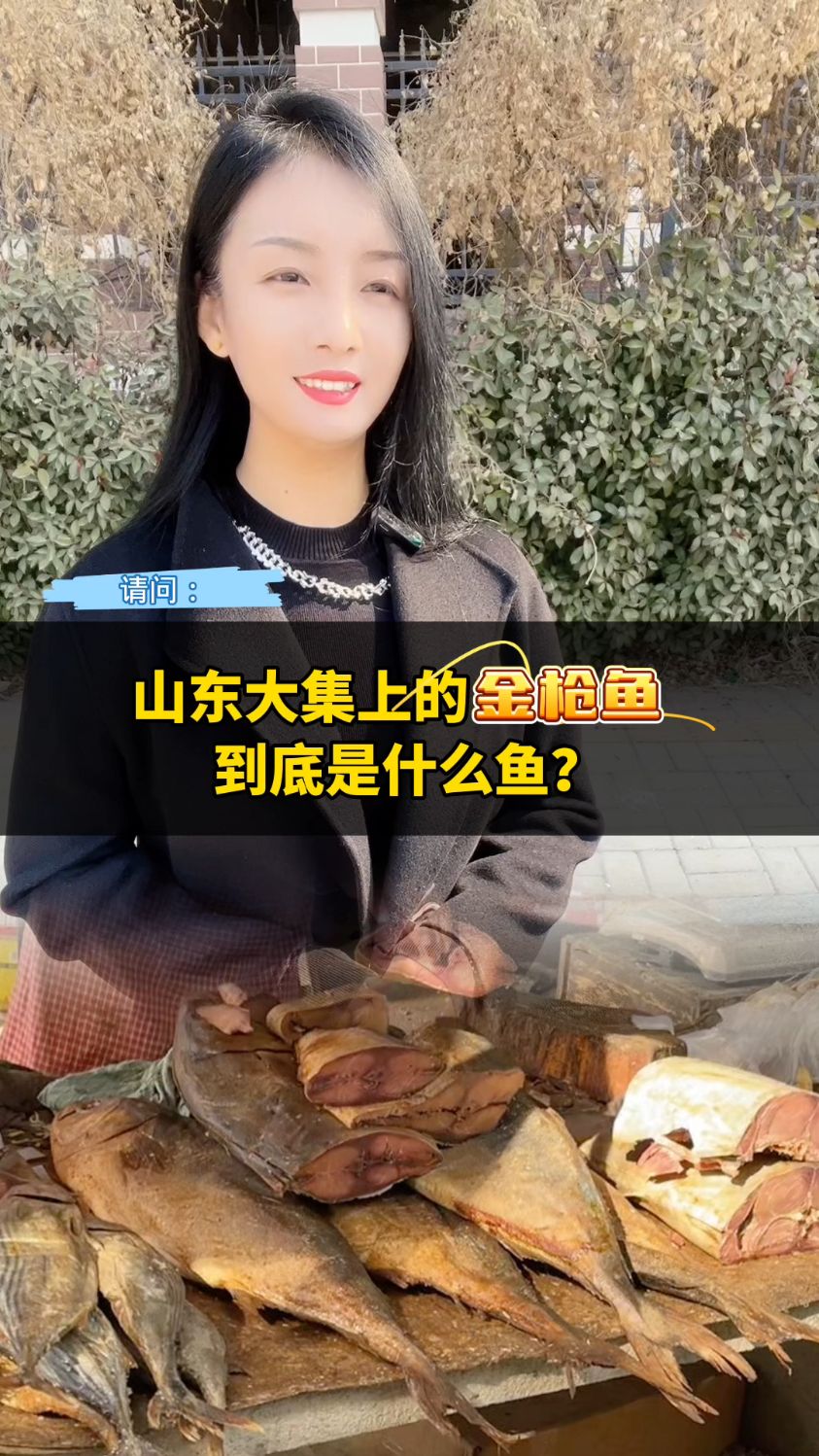 山东大集上的金枪鱼到底是什么鱼?