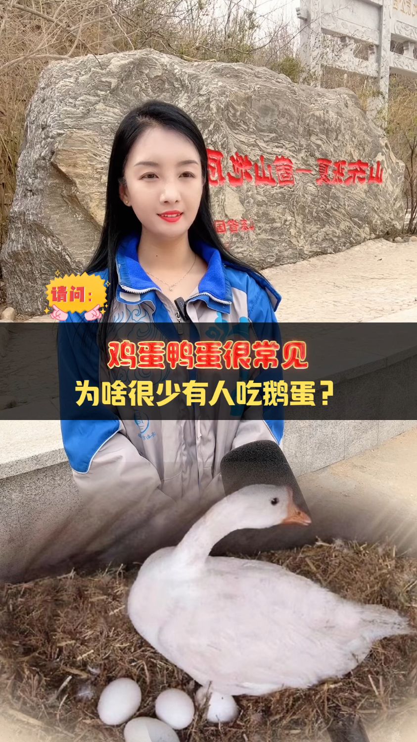 鸡蛋,鸭蛋很常见,为啥很少有人吃鹅蛋?