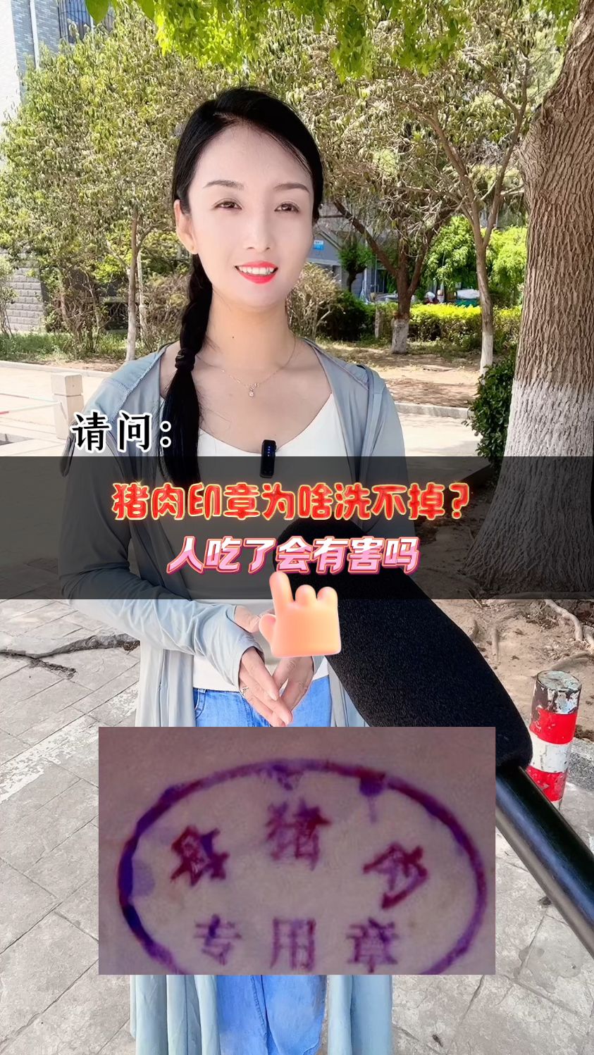 猪肉印章为啥洗不掉?人吃了会有害吗?