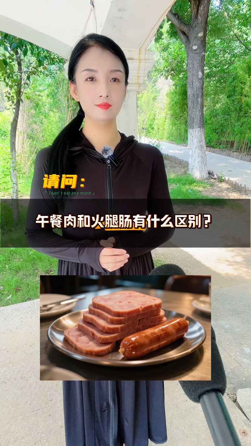 午餐肉和火腿肠有什么区别?
