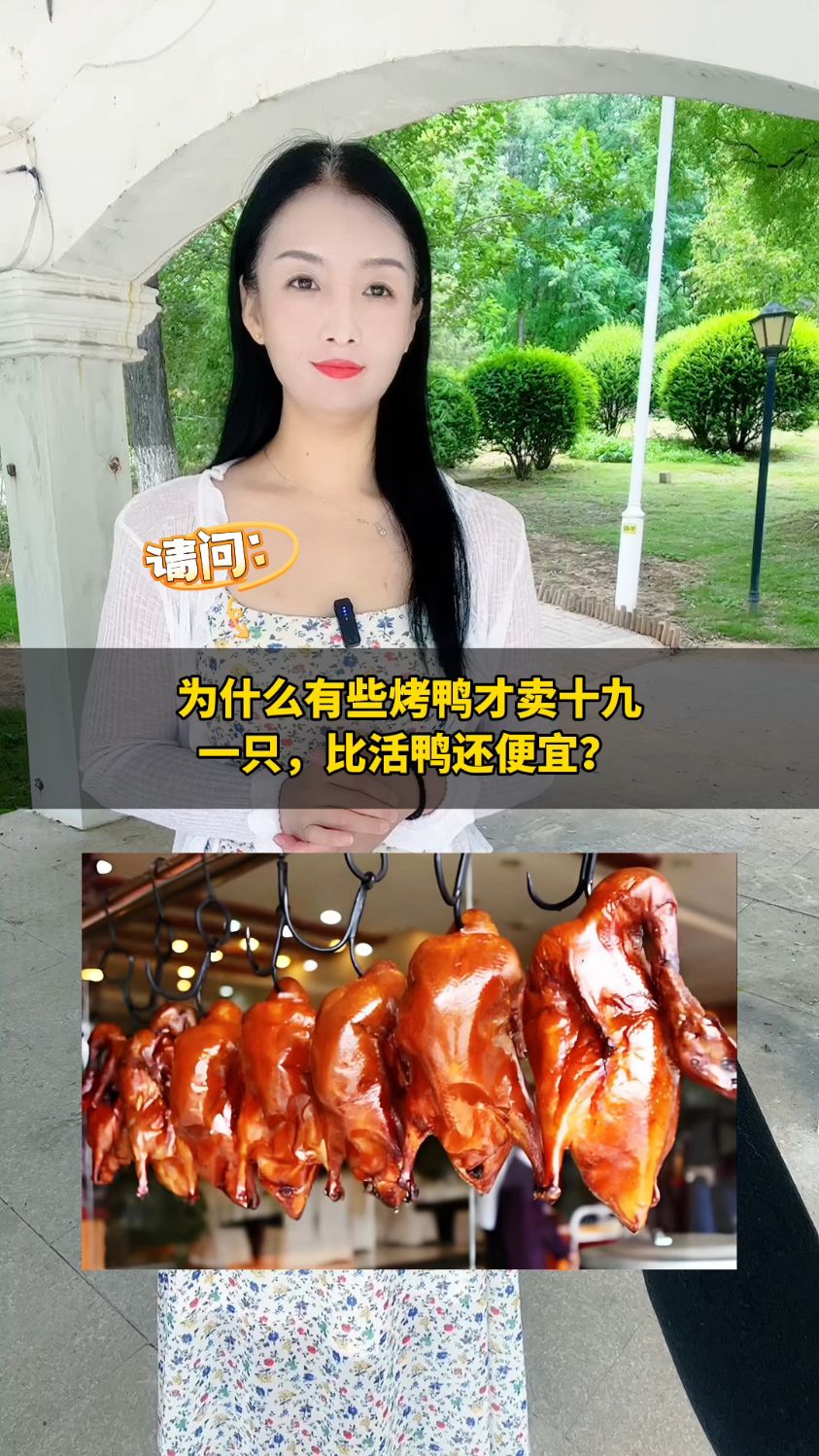 为什么有些烤鸭才卖19一只,比活鸭还便宜?