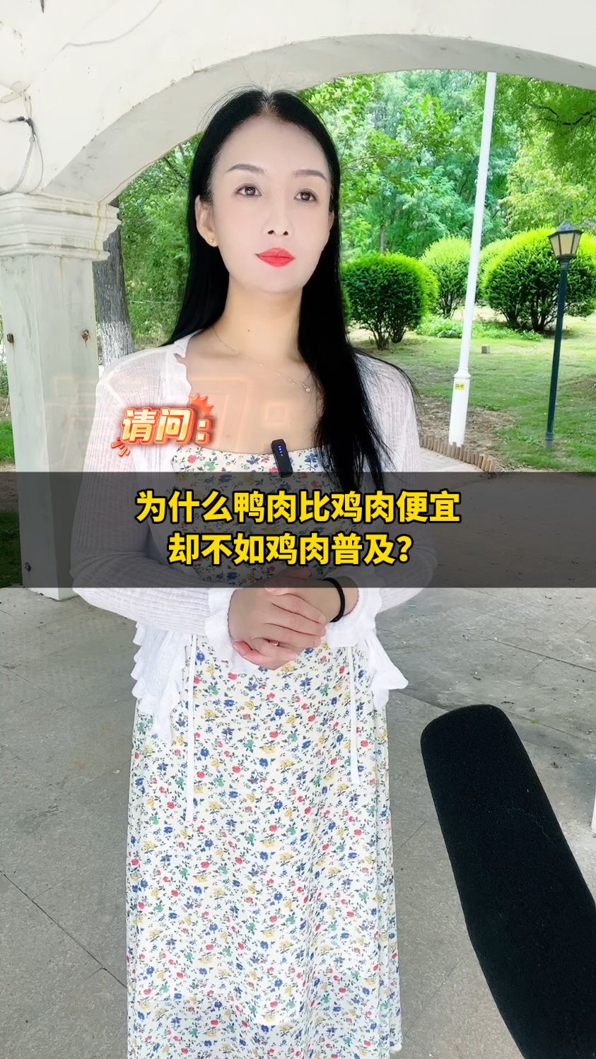 为什么鸭肉比鸡肉便宜,却不如鸡肉普及?