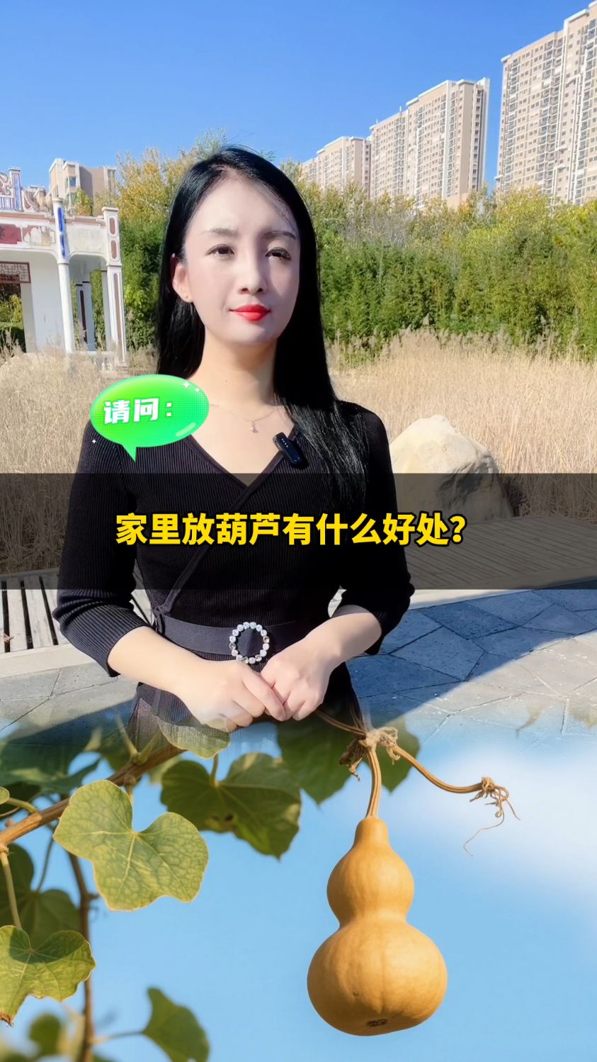 家里放葫芦有什么好处?