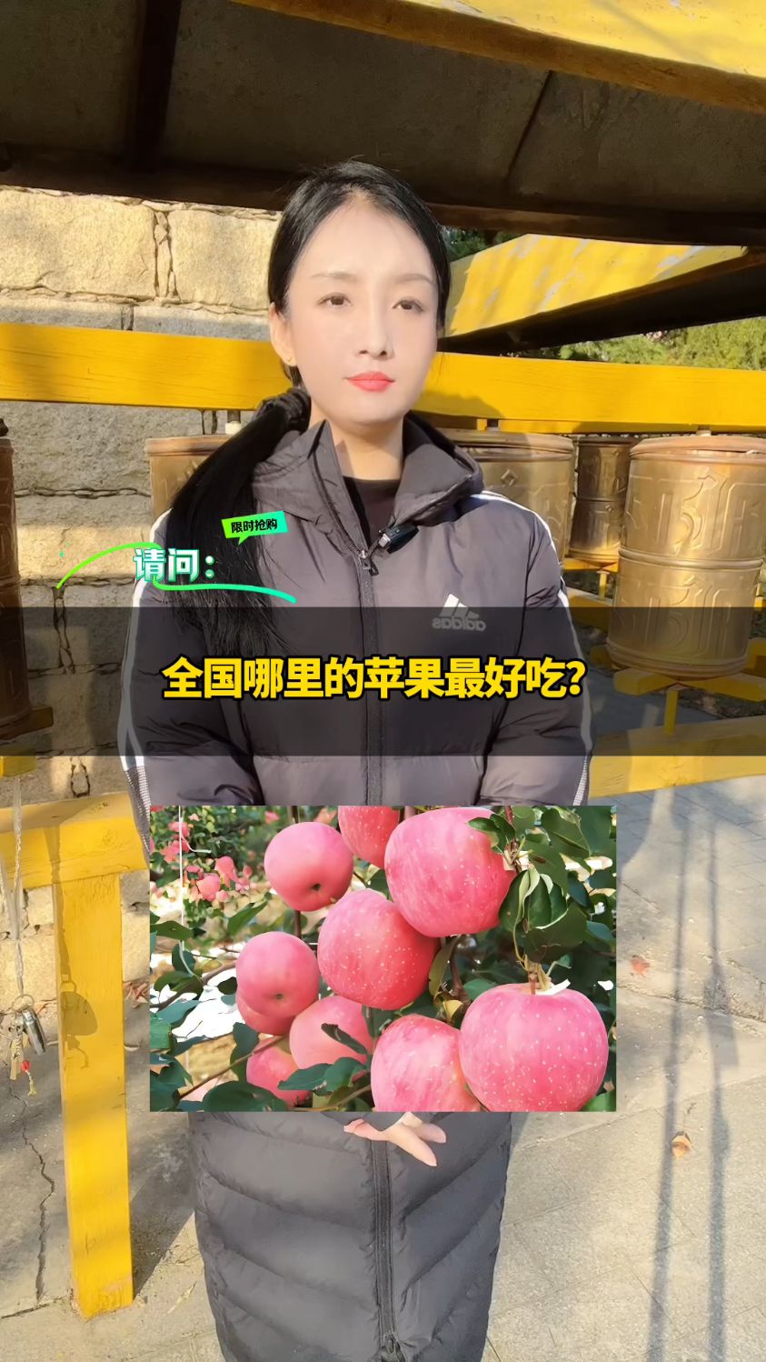 全国哪里的苹果最好吃?
