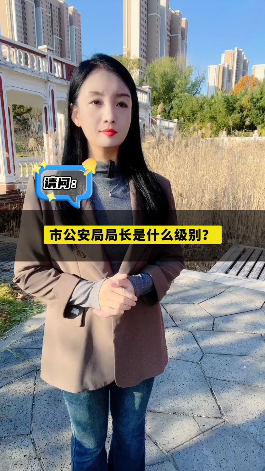 市公安局局长是什么级别?