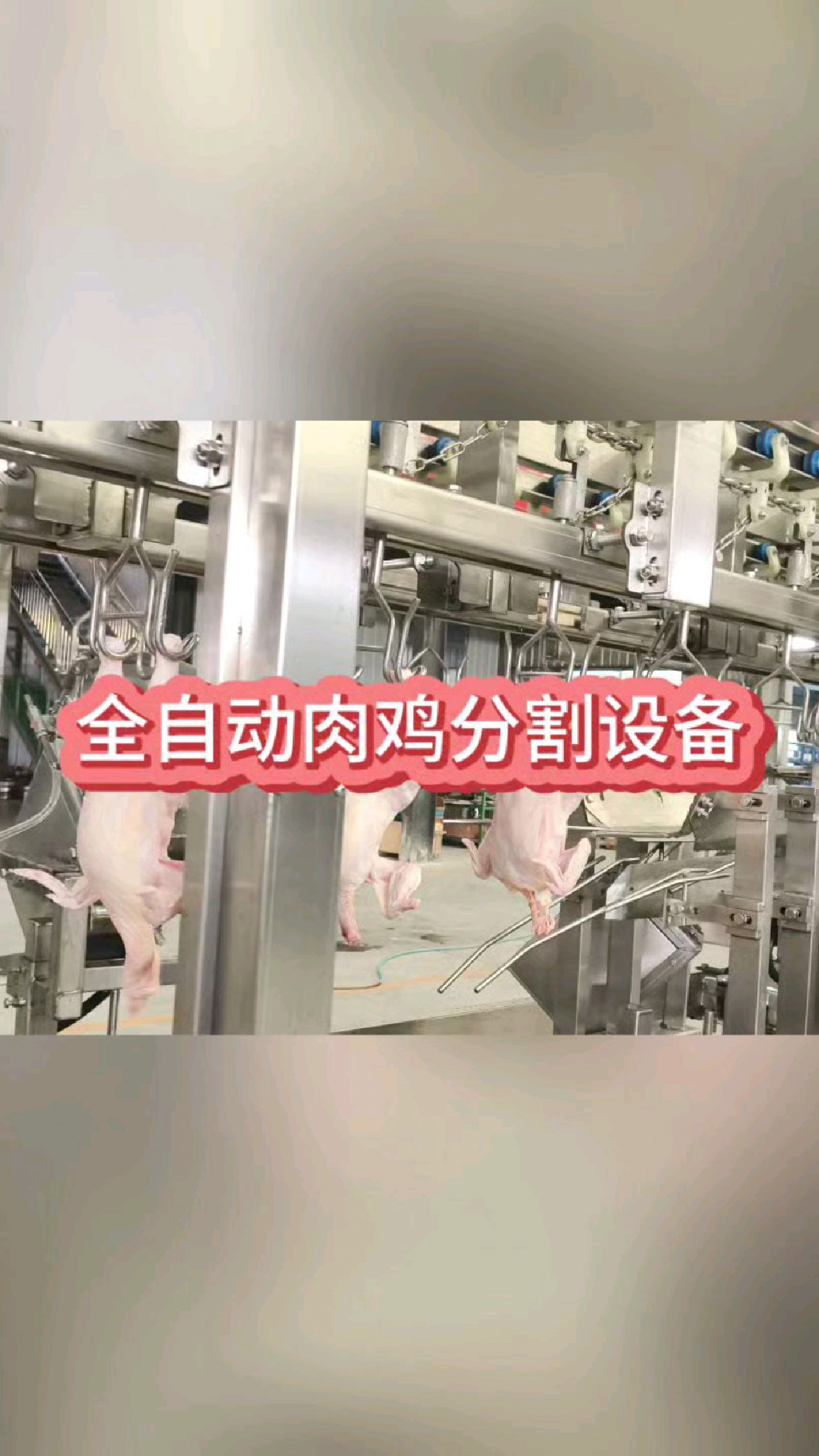 肉鸡自动分割设备流水线