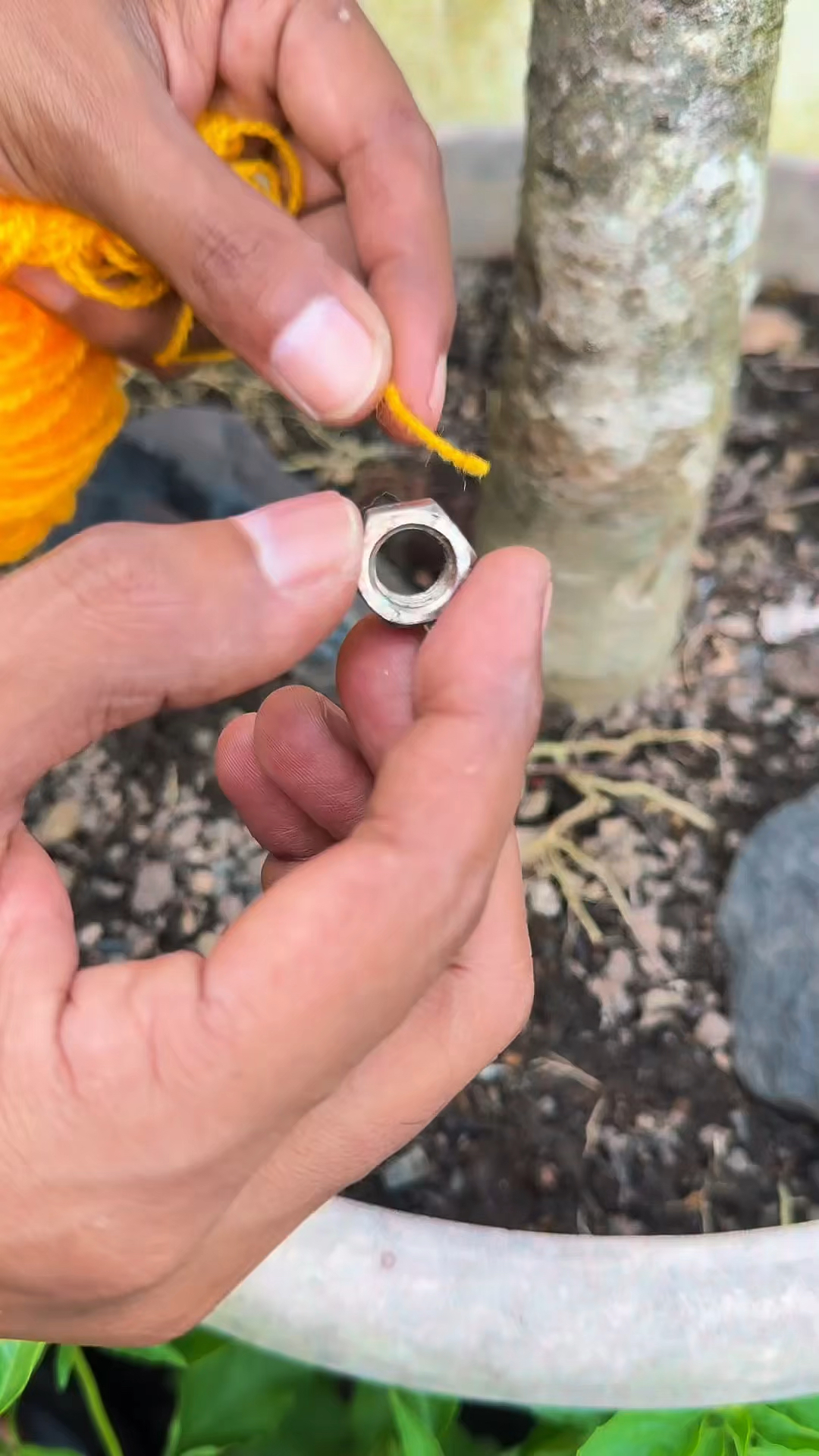 给植物浇水的小方法