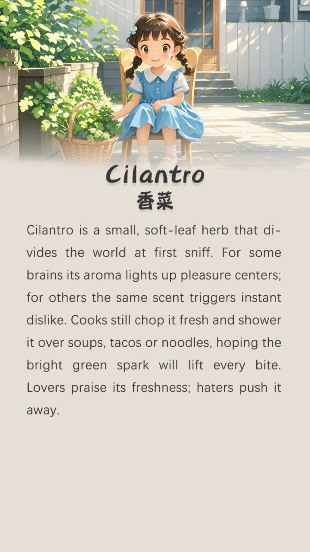 坚持英语听读100天-香菜《Cilantro》