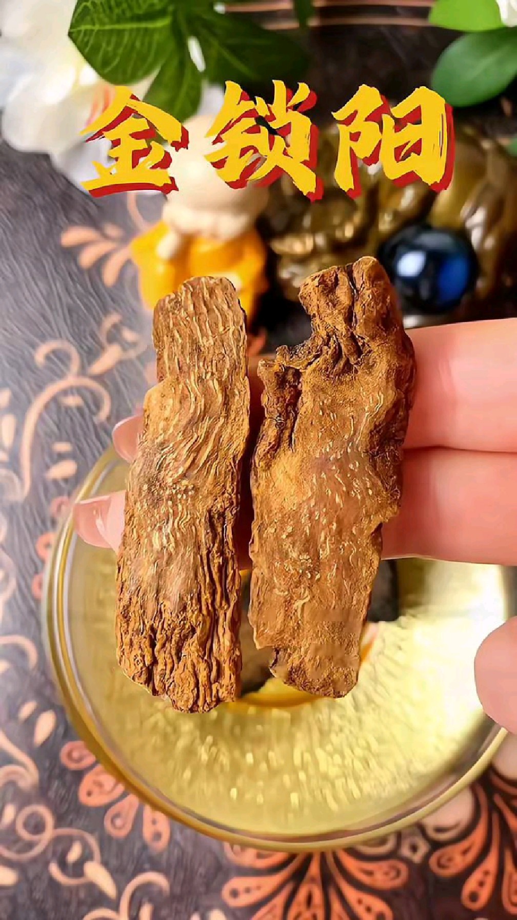 谁懂啊!肉苁蓉和这七种搭配泡水,建议没有女朋友的不要喝