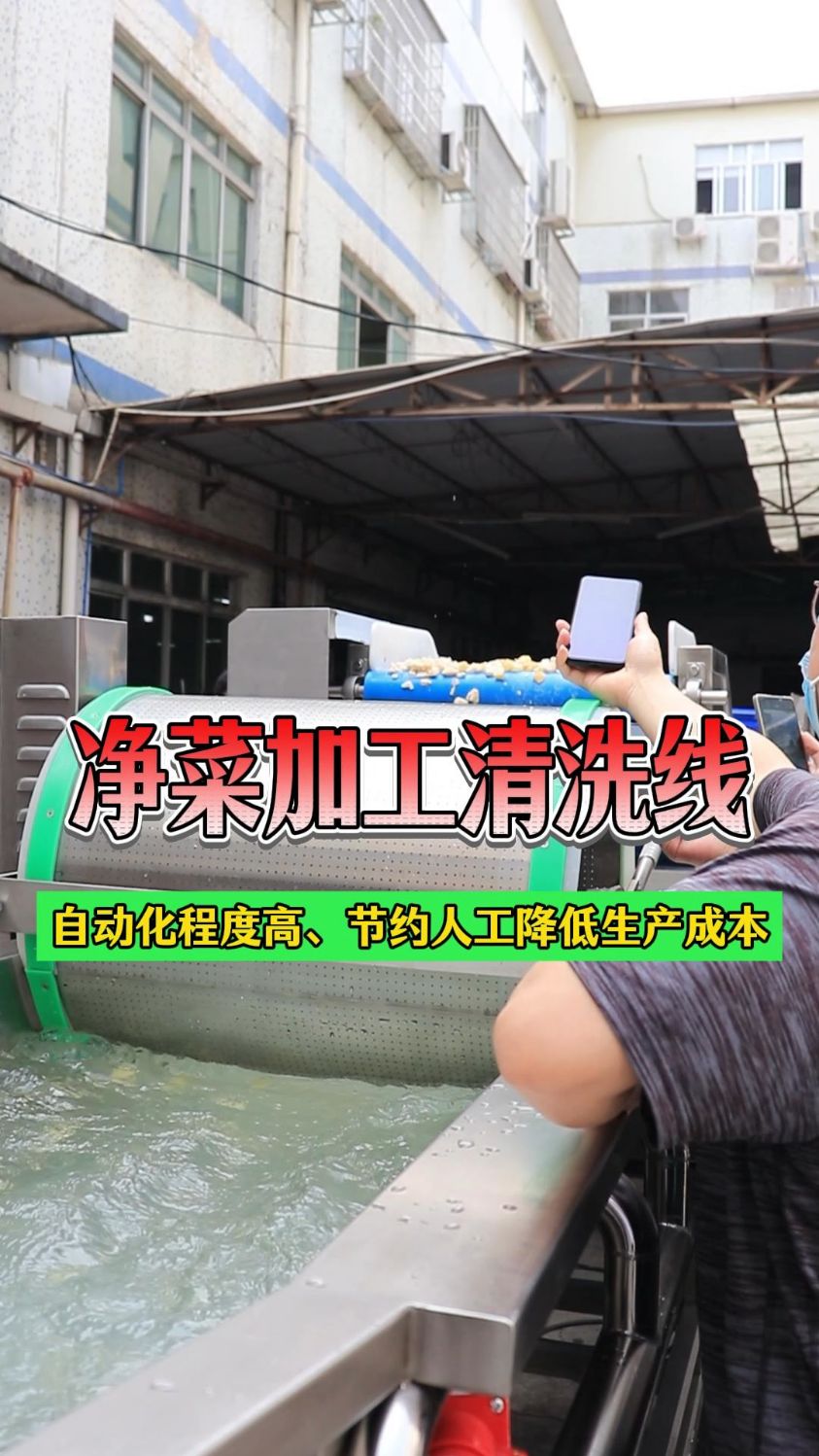 净菜加工清洗线,适合中央厨房