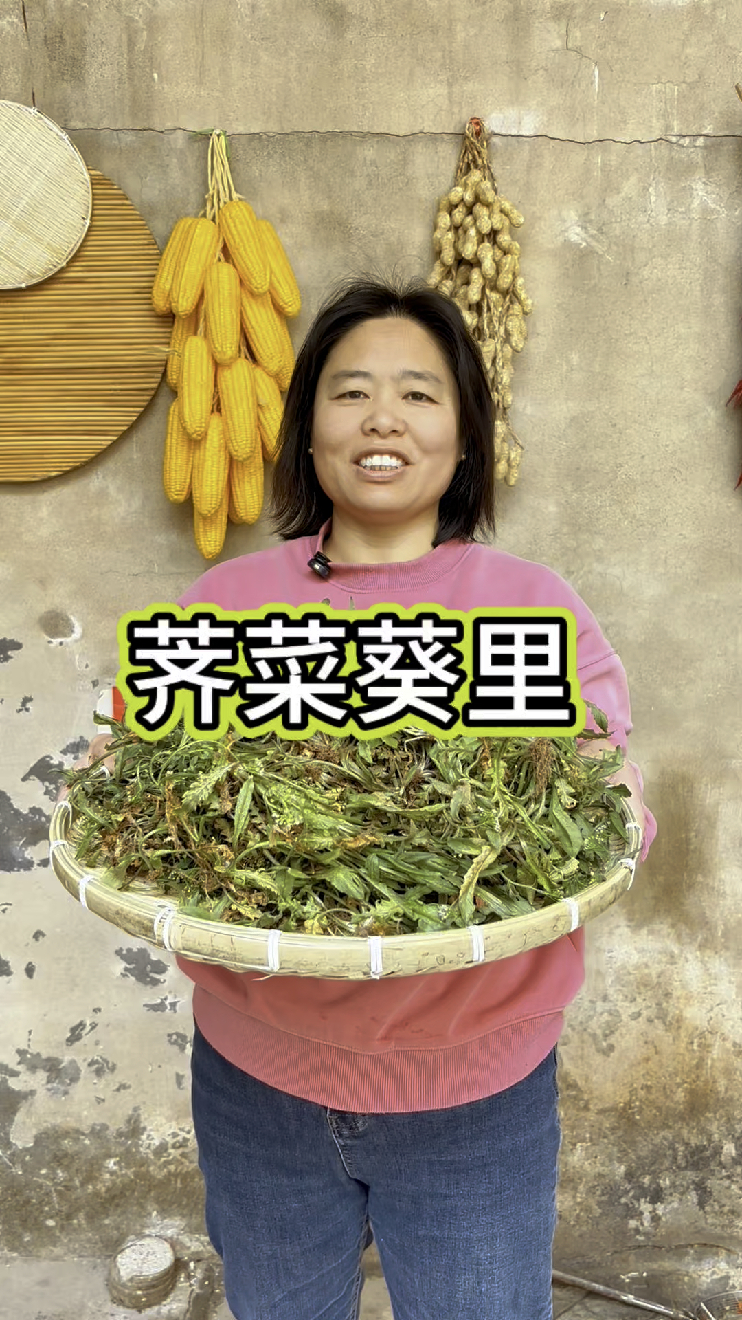 野生的芥菜就是好吃