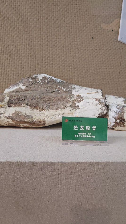 这算是东北特产呢