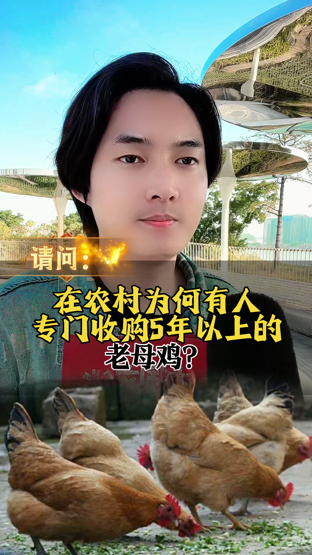 在农村为何有人专门收购5年以上的老母鸡?