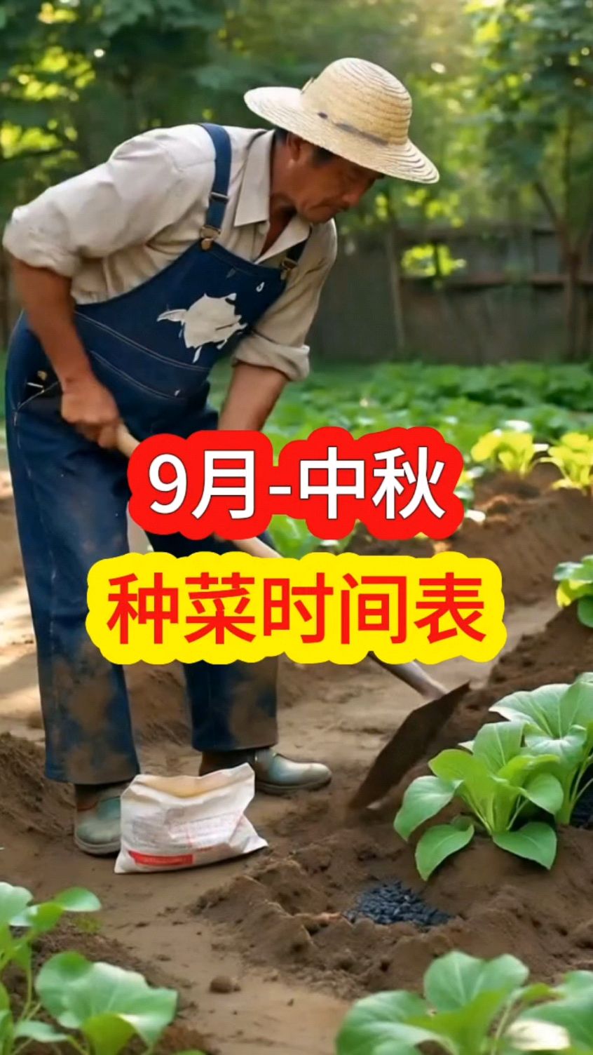 9月到中秋这段时间可以种的菜