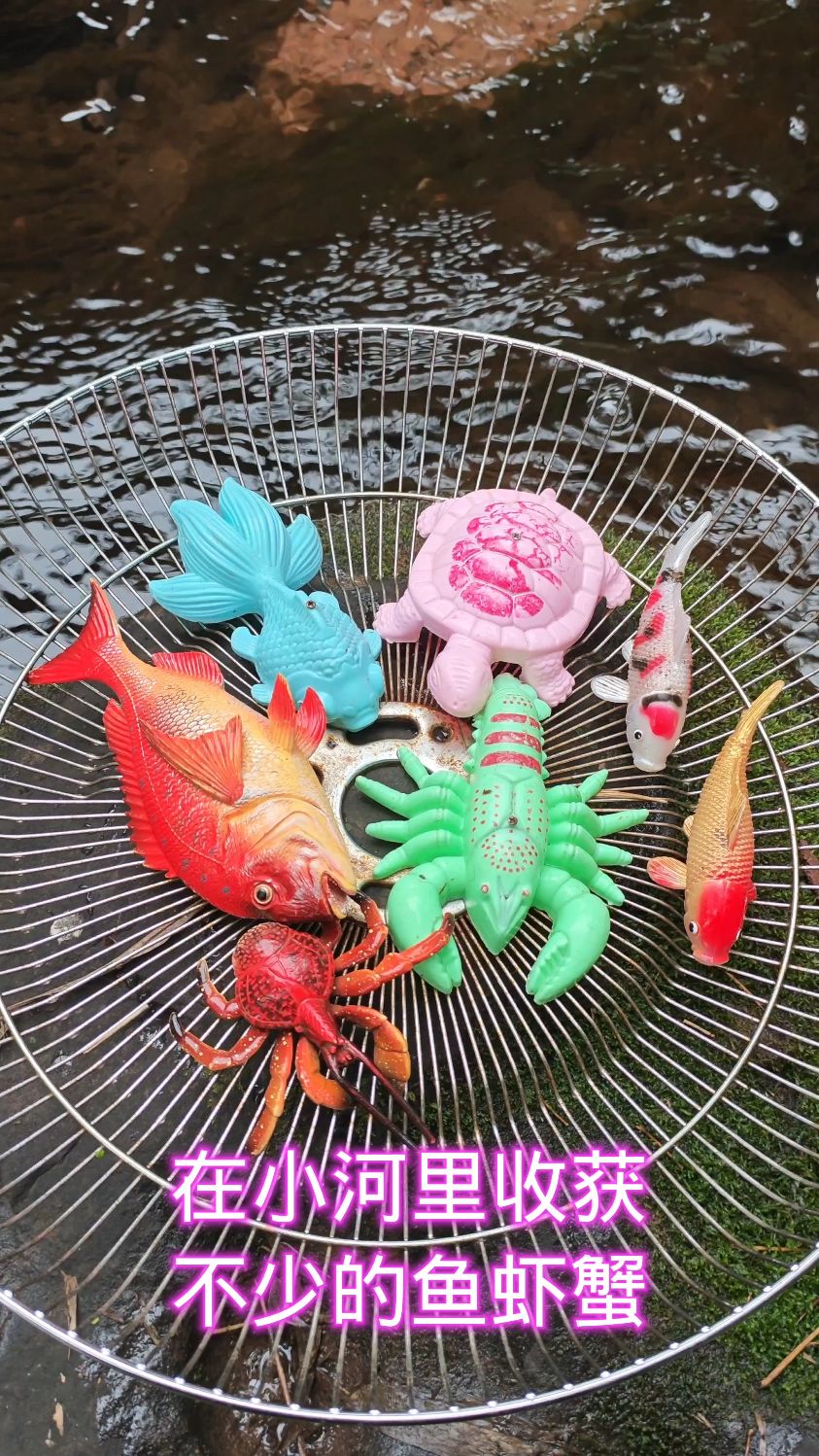 在小河里收获不少的鱼虾蟹