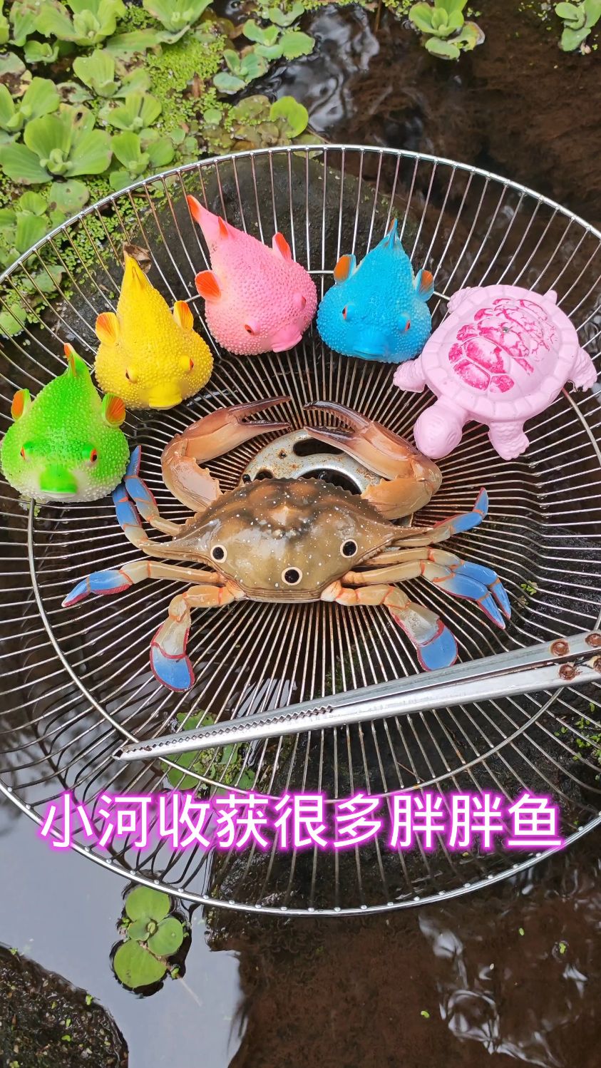 小河收获很多胖胖鱼