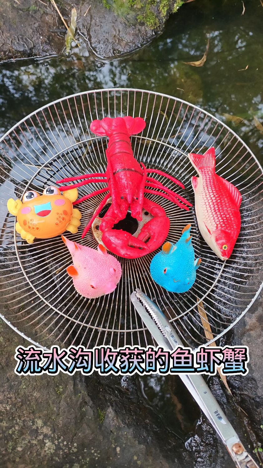 流水沟收获的鱼虾蟹