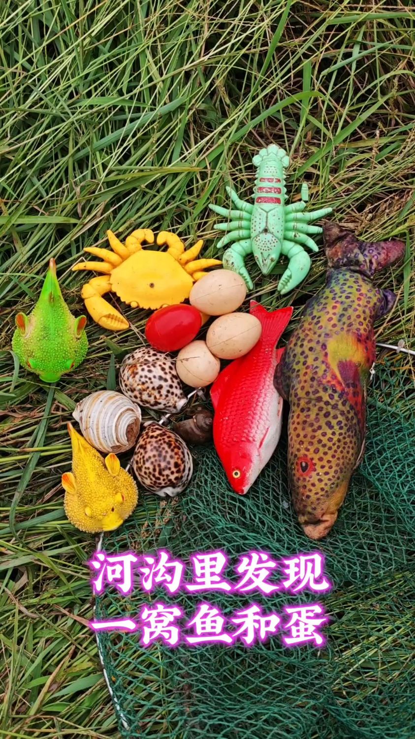 河沟里发现一窝鱼和蛋