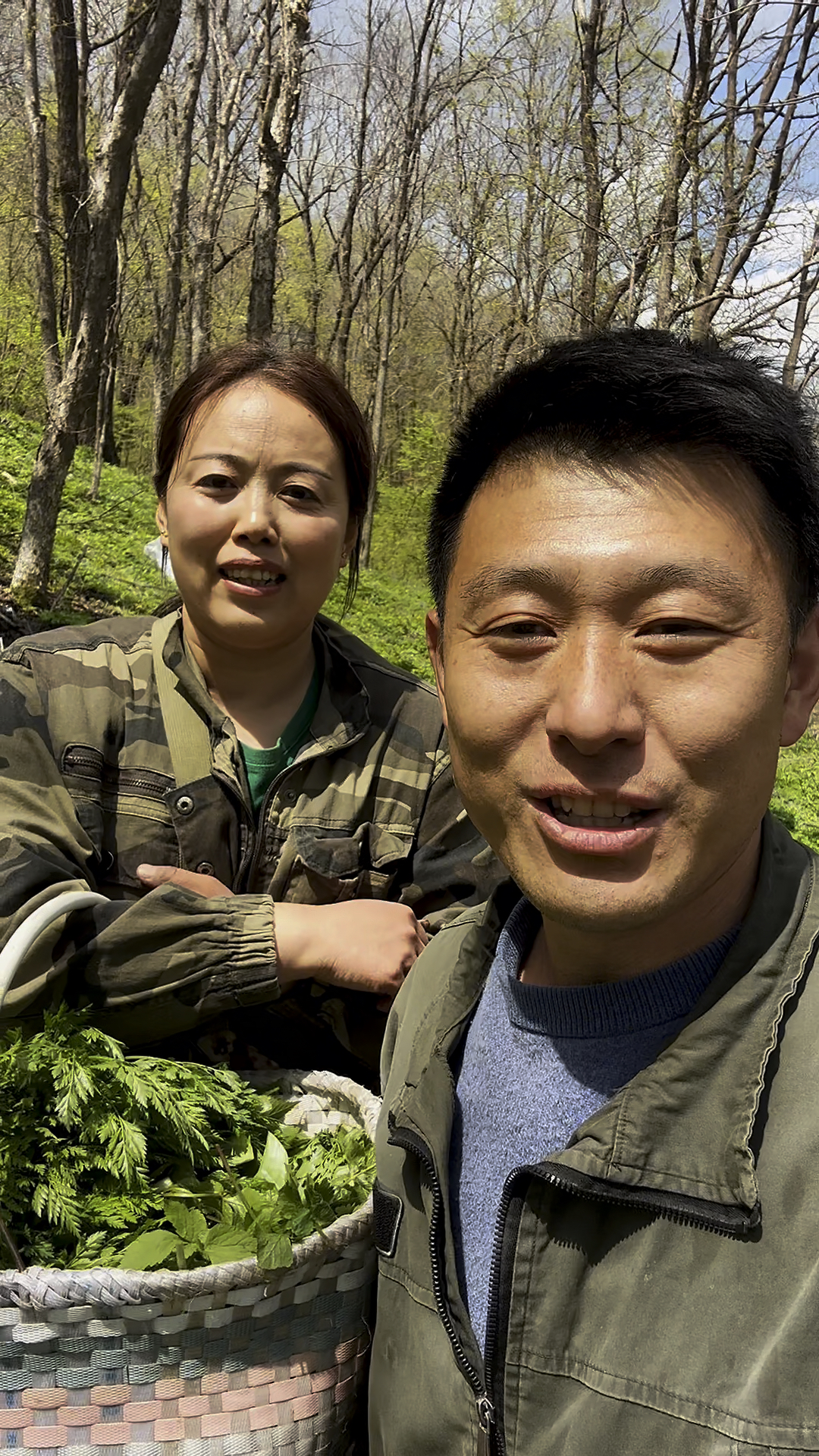 采山菜真过瘾,吃山菜正当时!