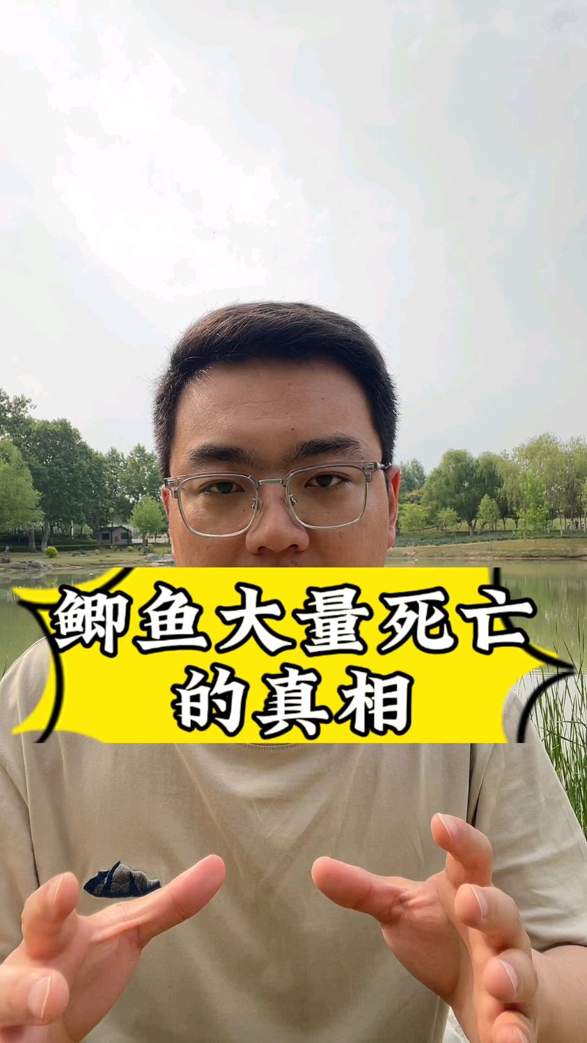 鲫鱼大量死亡的真相