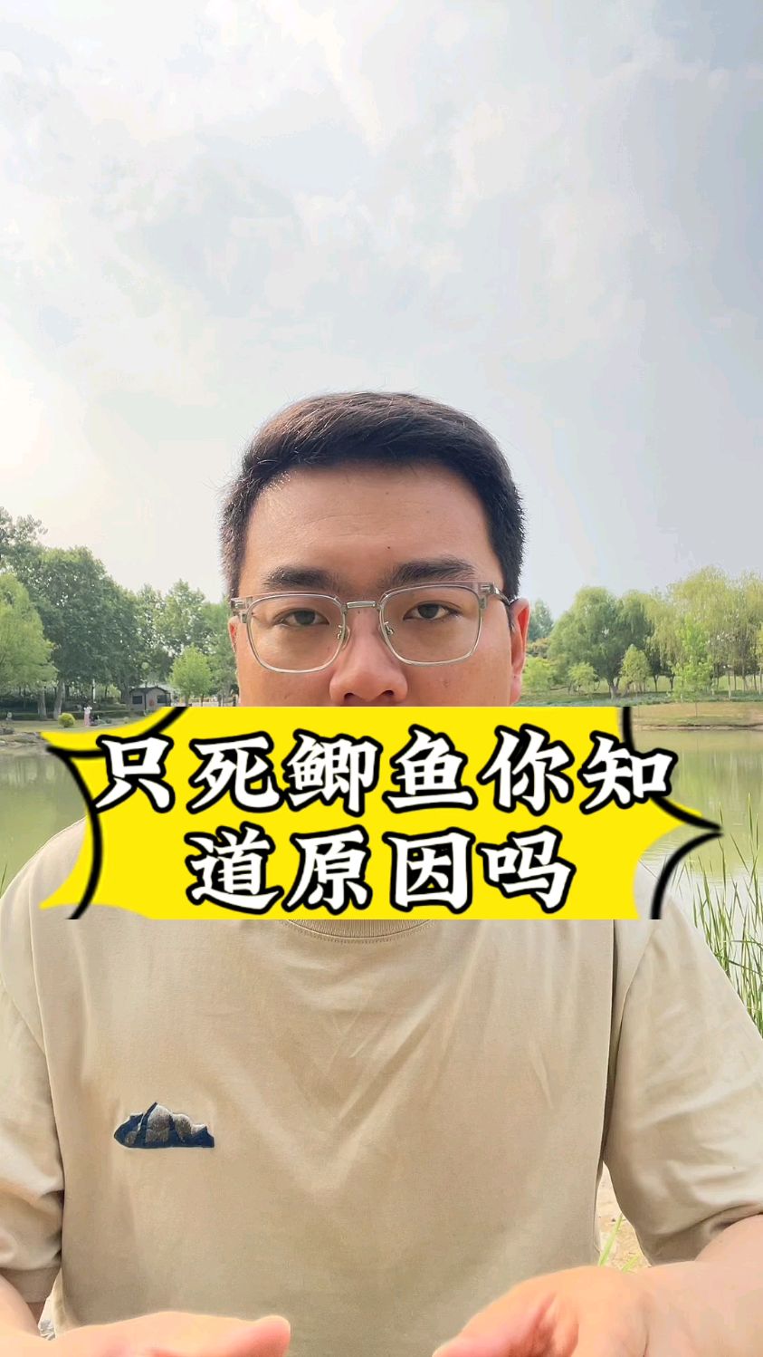 只死鲫鱼你知道原因吗