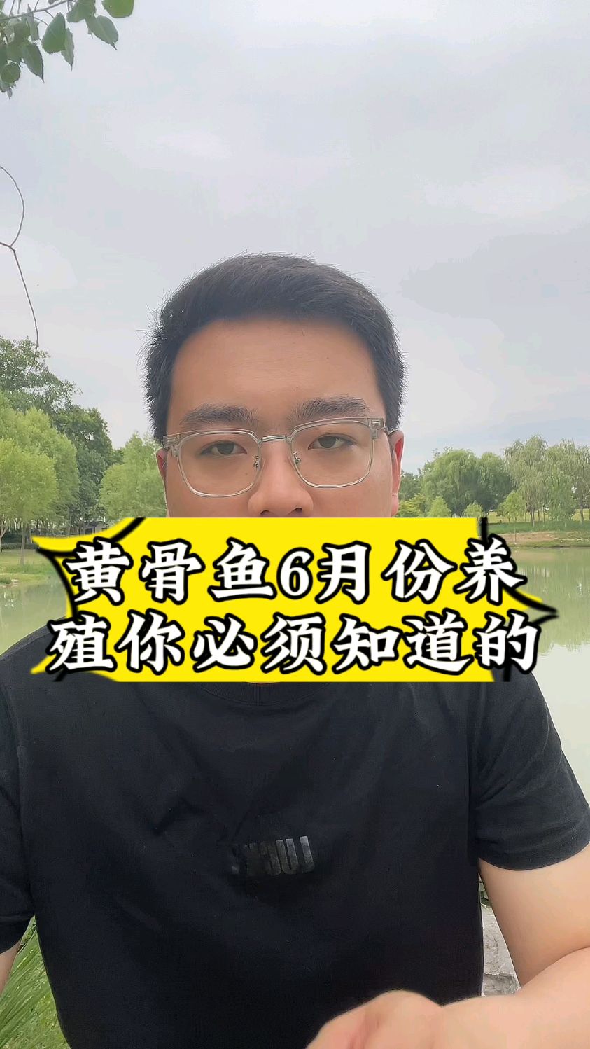 黄骨鱼养殖6月你必须知道