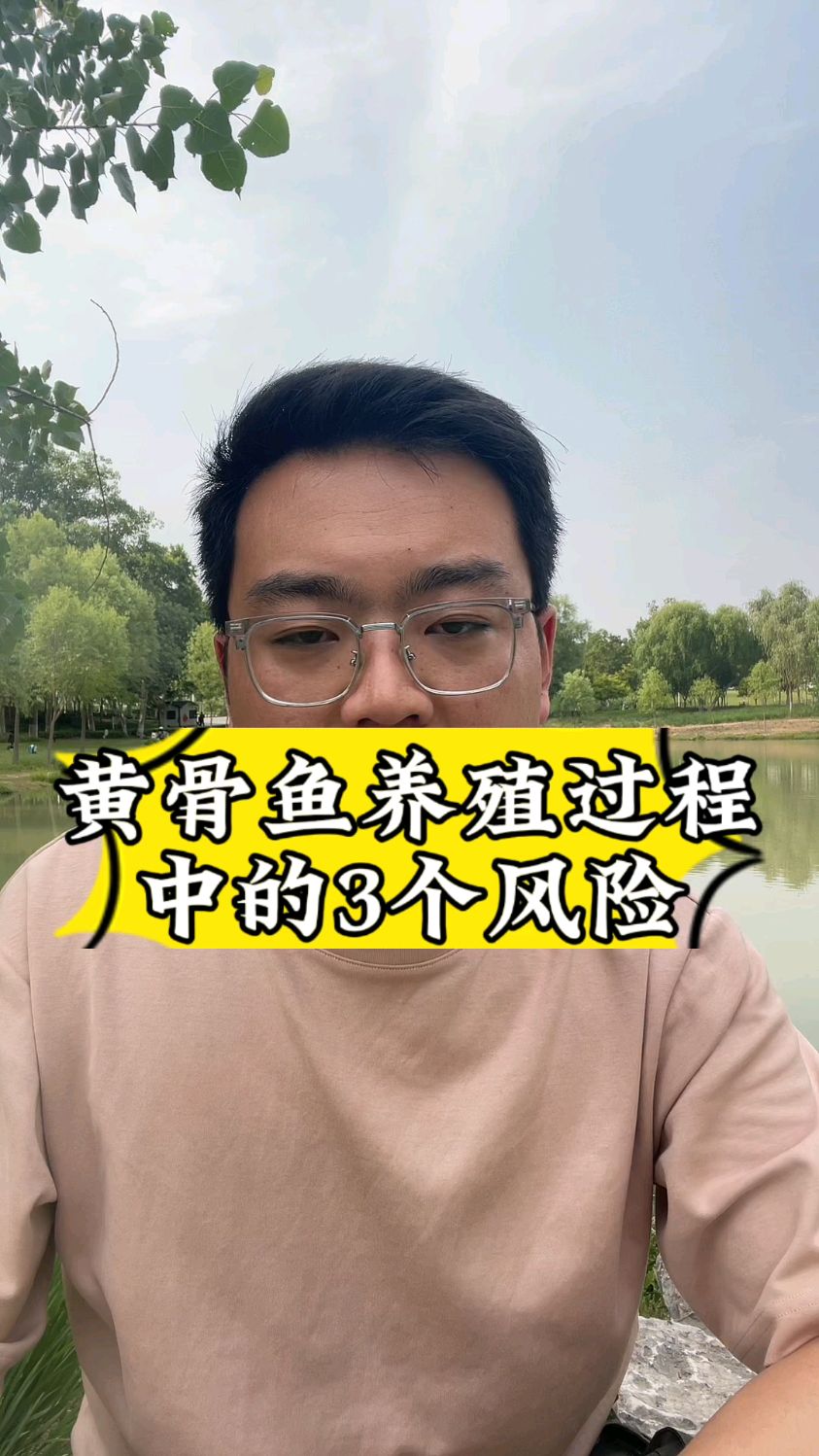 黄骨鱼养殖中的风险