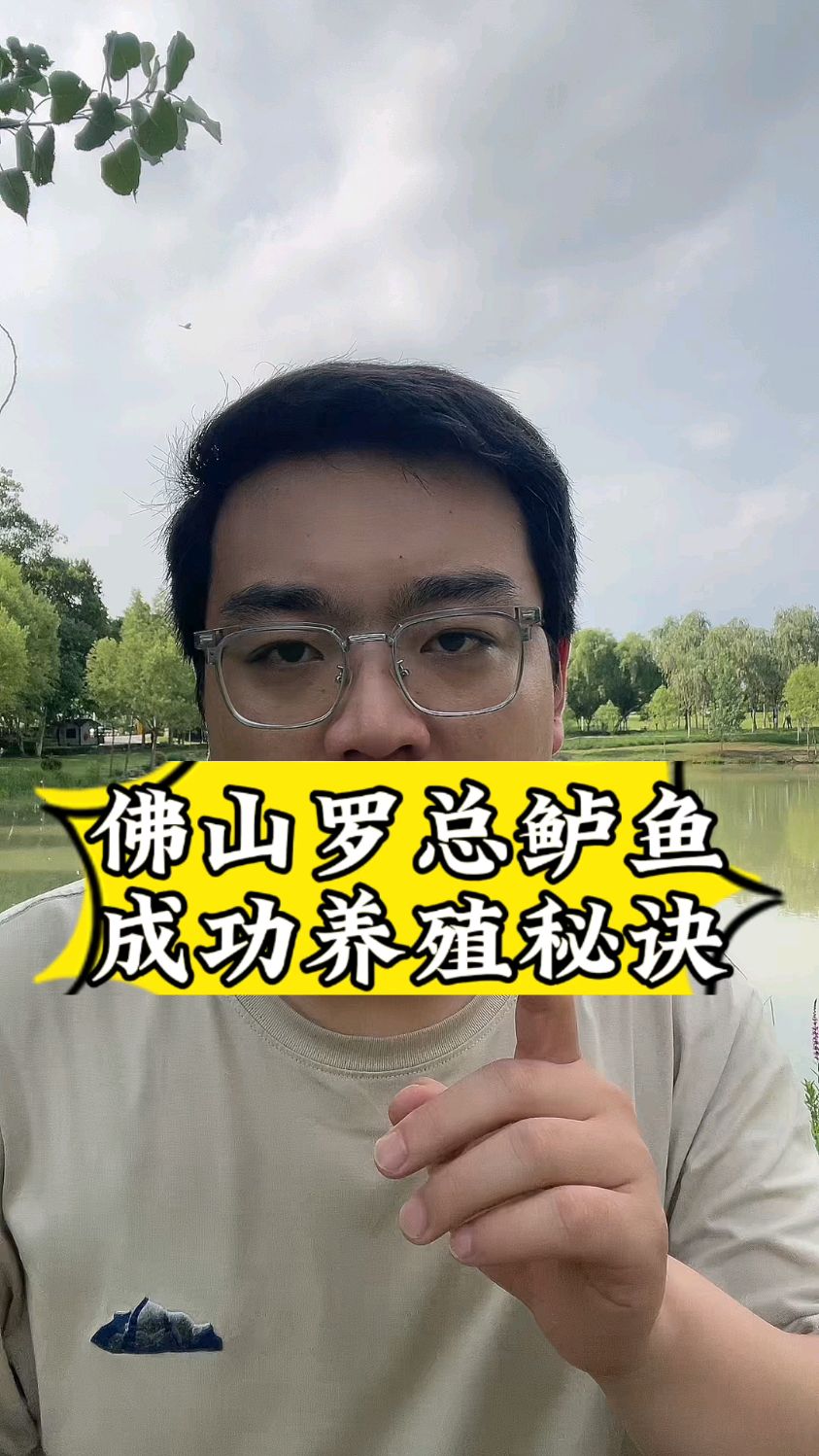 佛山罗总鲈鱼养殖成功秘诀