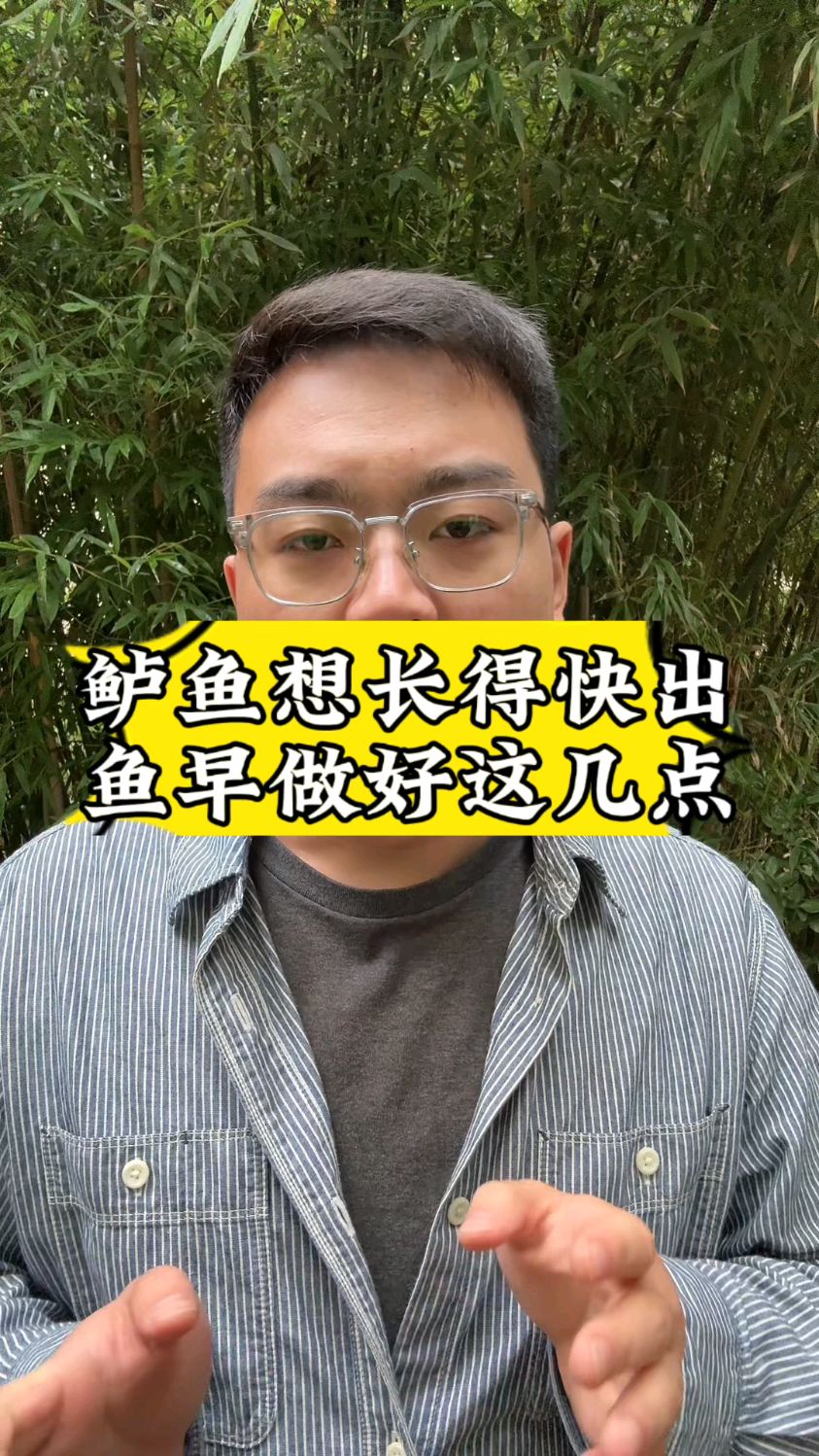 鲈鱼长得快出鱼早做好这几点