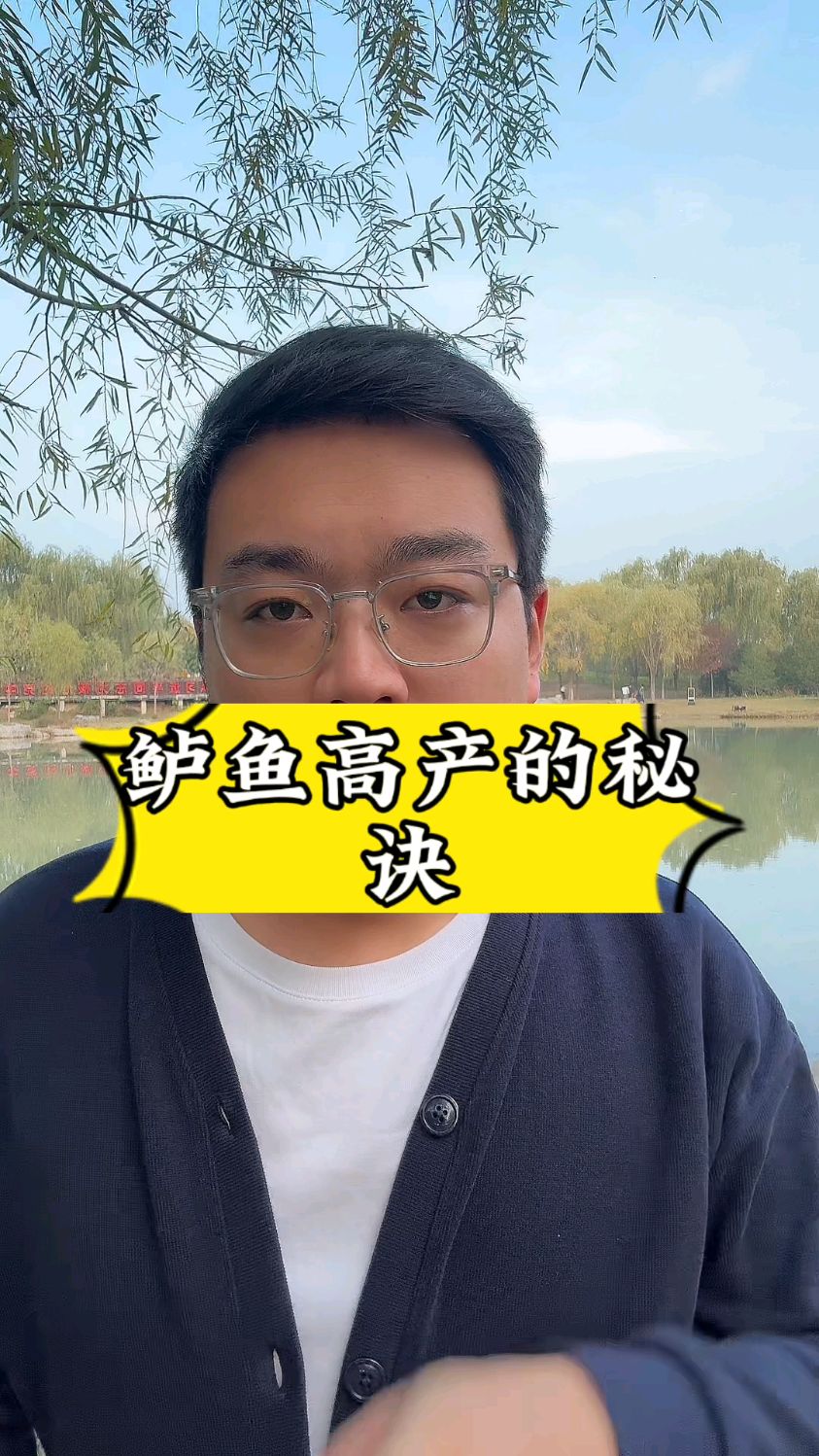 鲈鱼高产的秘诀！