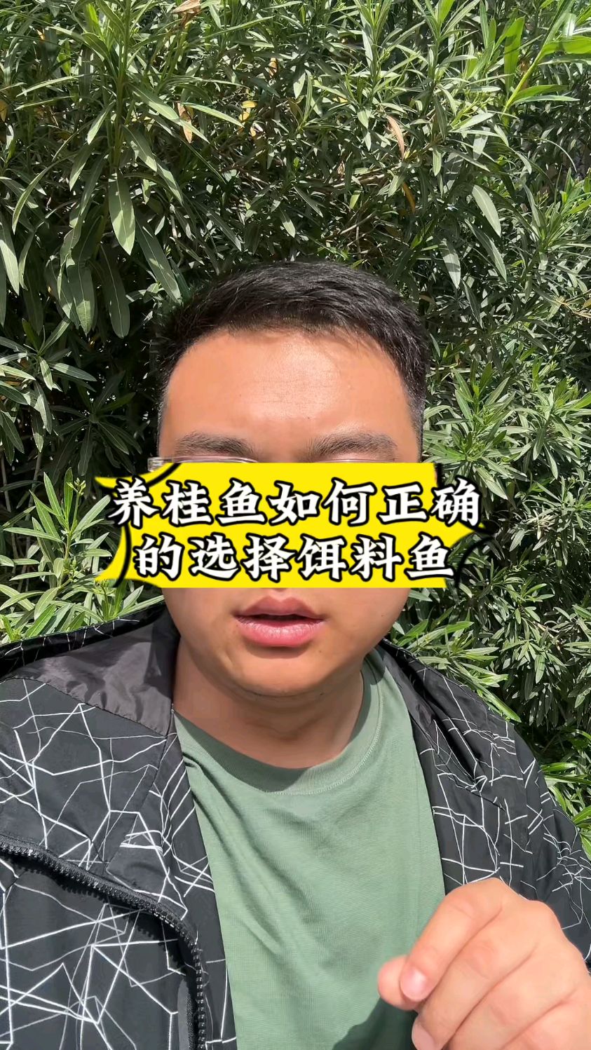 养鳜鱼如何正确的选择饵料鱼