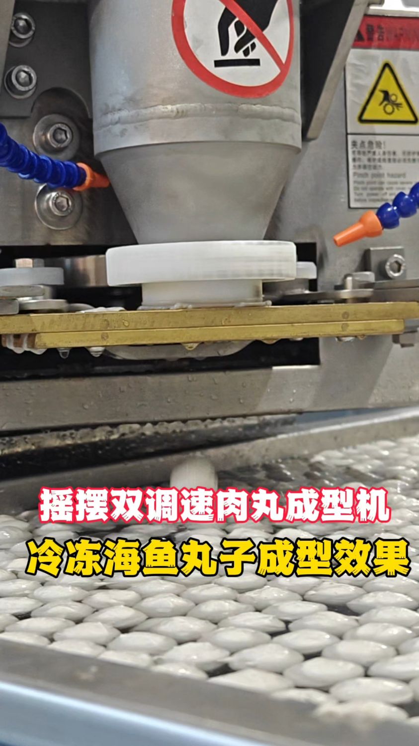 冰鲜海鱼打浆后鱼丸是用什么机器成型的变频双速肉丸成型机效率高