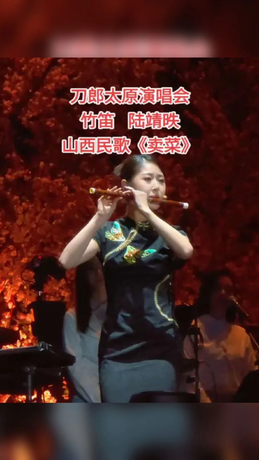 刀郎太原演唱会:青年表演艺术家竹笛陆靖昳演奏山西民歌《卖菜》