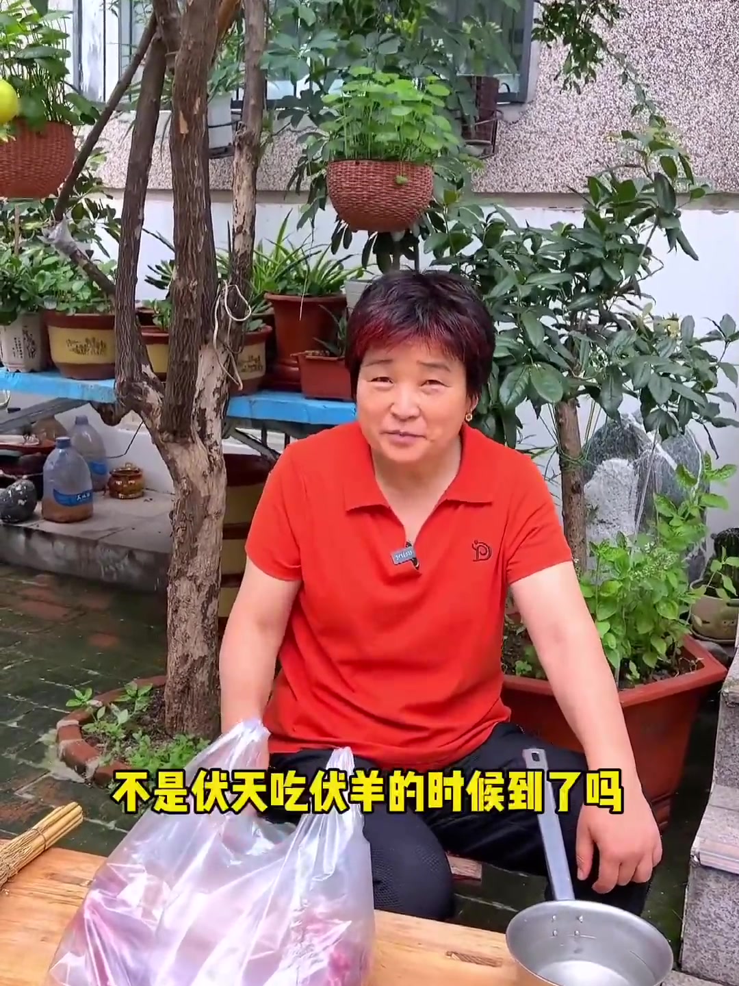 三伏天40斤羊肉5大锅羊汤,姐带全家喝伏羊节头汤,这滋补绝了!