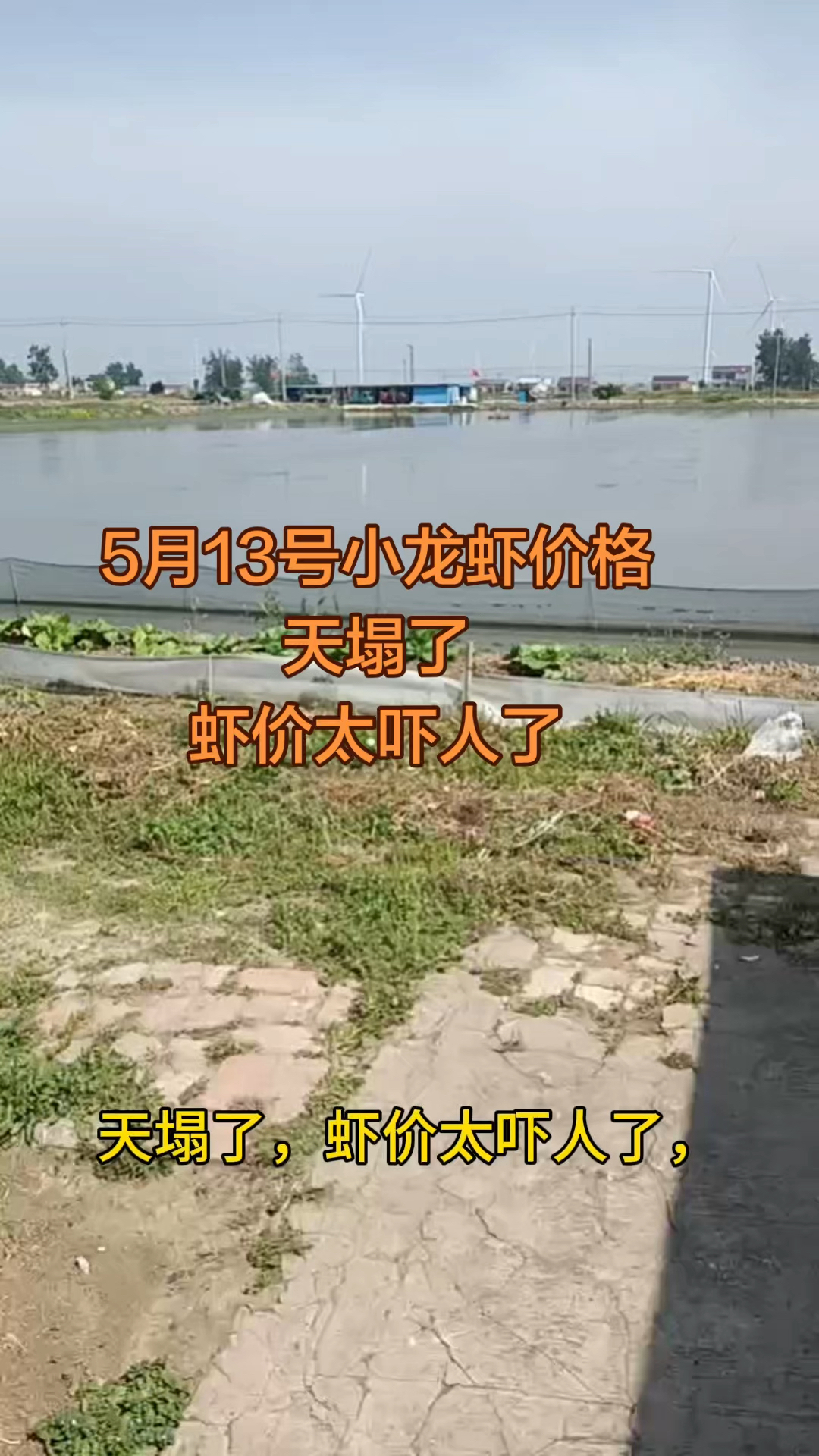 5月13号小龙虾价格，太吓人了！