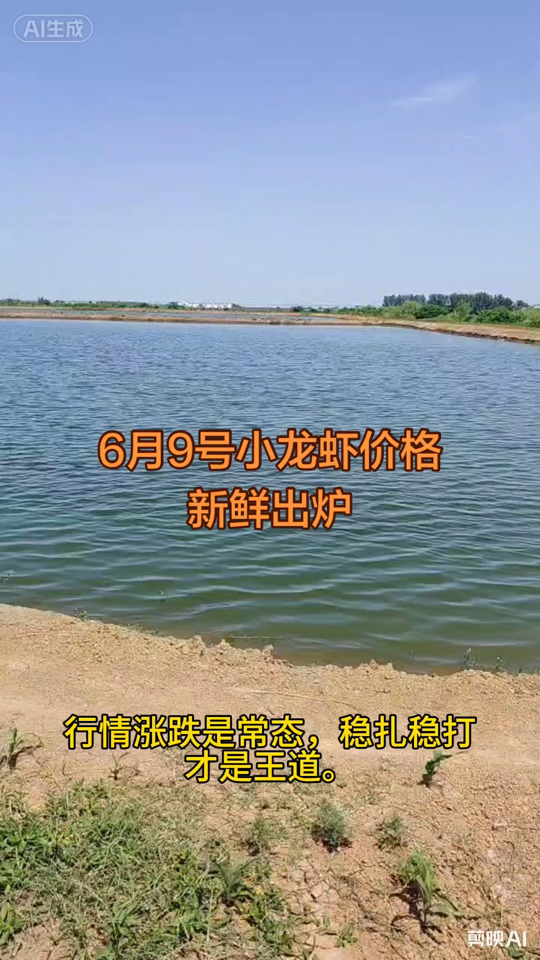 6月9号小龙虾价格新鲜出炉！