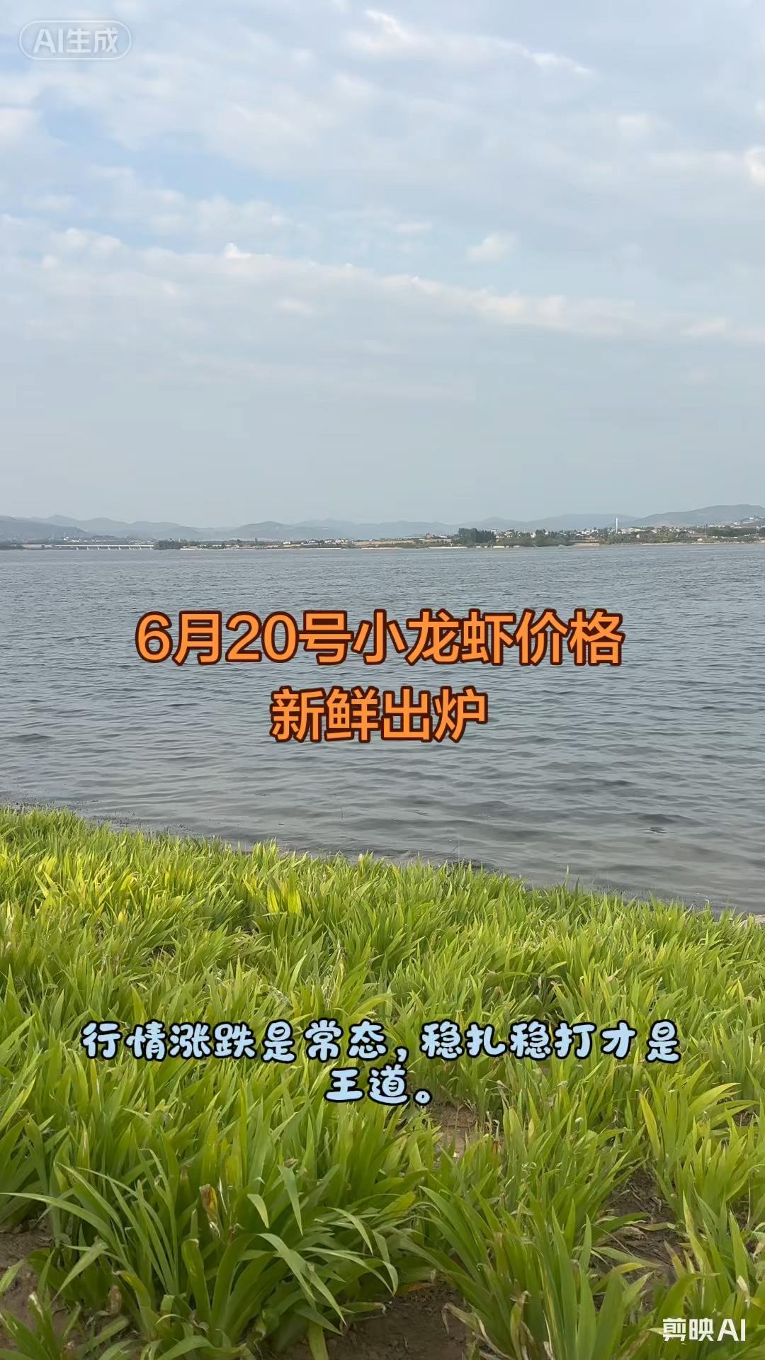 6月20号小龙虾最新价格！
