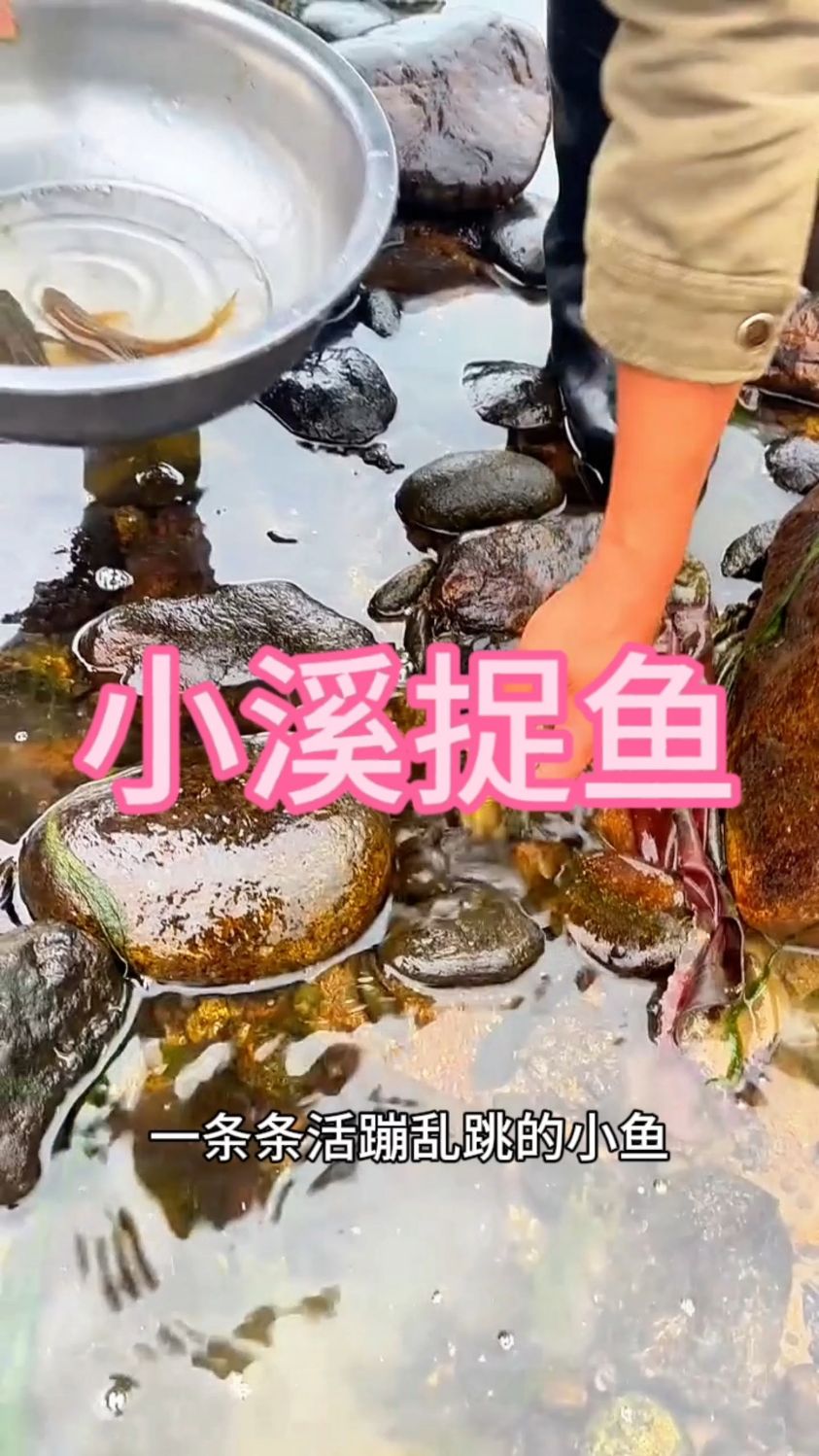小溪边捉鱼的快乐