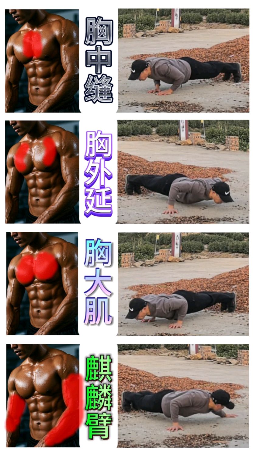 胸肌和手臂肌肉训练