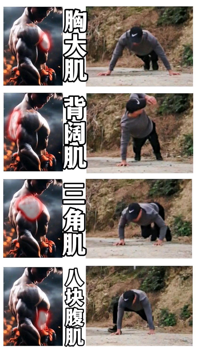 上半身肌肉训练 ,坚持练一练