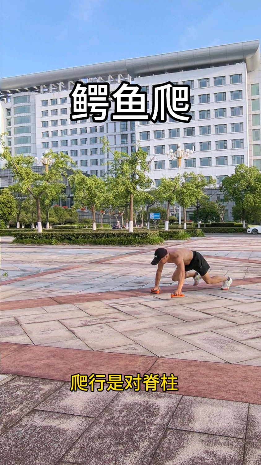 鳄鱼爬是一个很好的锻炼动作,练起来吧