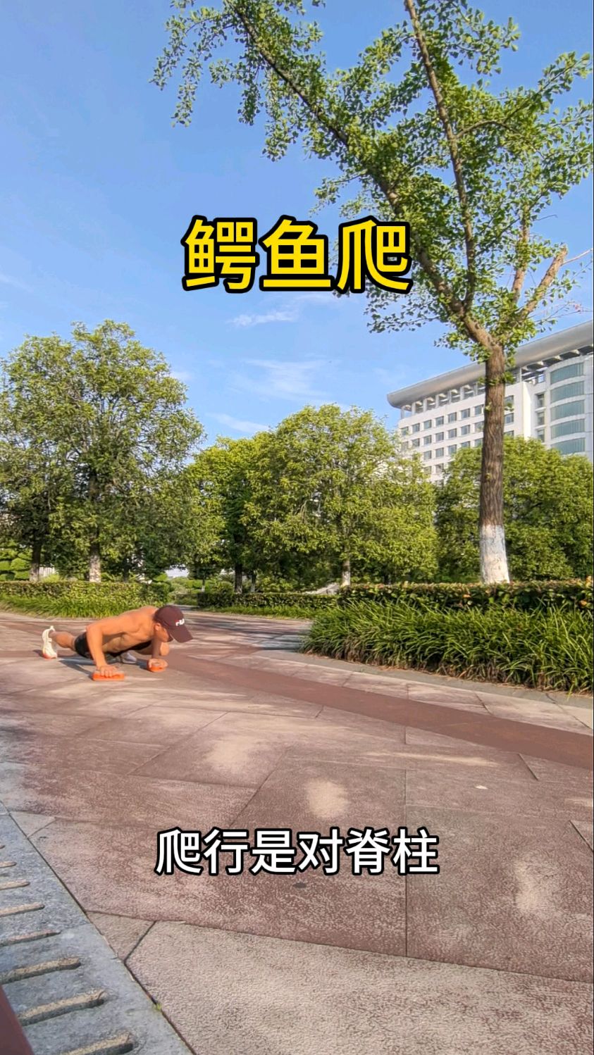 鳄鱼爬是一个很好的锻炼动作,练起来吧