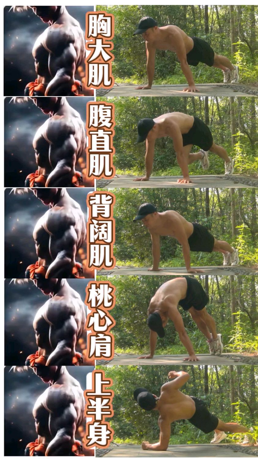 五个动作,打造上半身肌肉