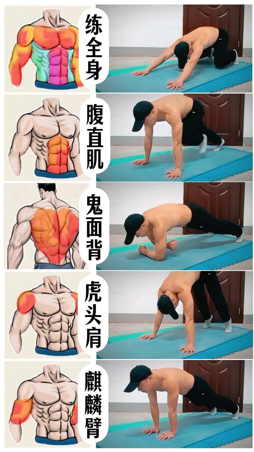 五个动作,打造上半身肌肉